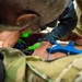 Manakin Operation Training at the MSTC