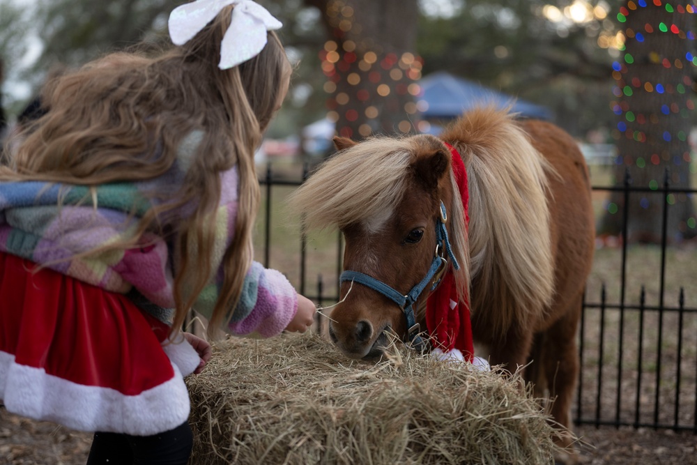 MacWonderland brings holiday cheer to MacDill AFB