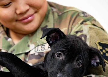 362nd MPAD Gives Back to the Community