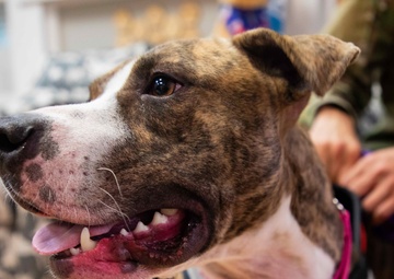 362nd MPAD Gives Back to the Community