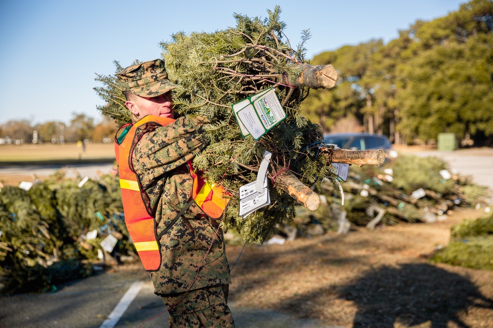 Trees for Troops 2024