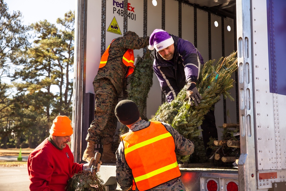 Trees for Troops 2024