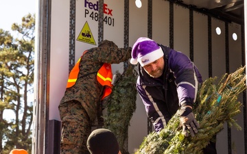 Trees for Troops 2024