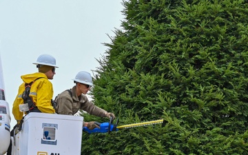 Team Beale continues winter tradition of trimming holiday tree