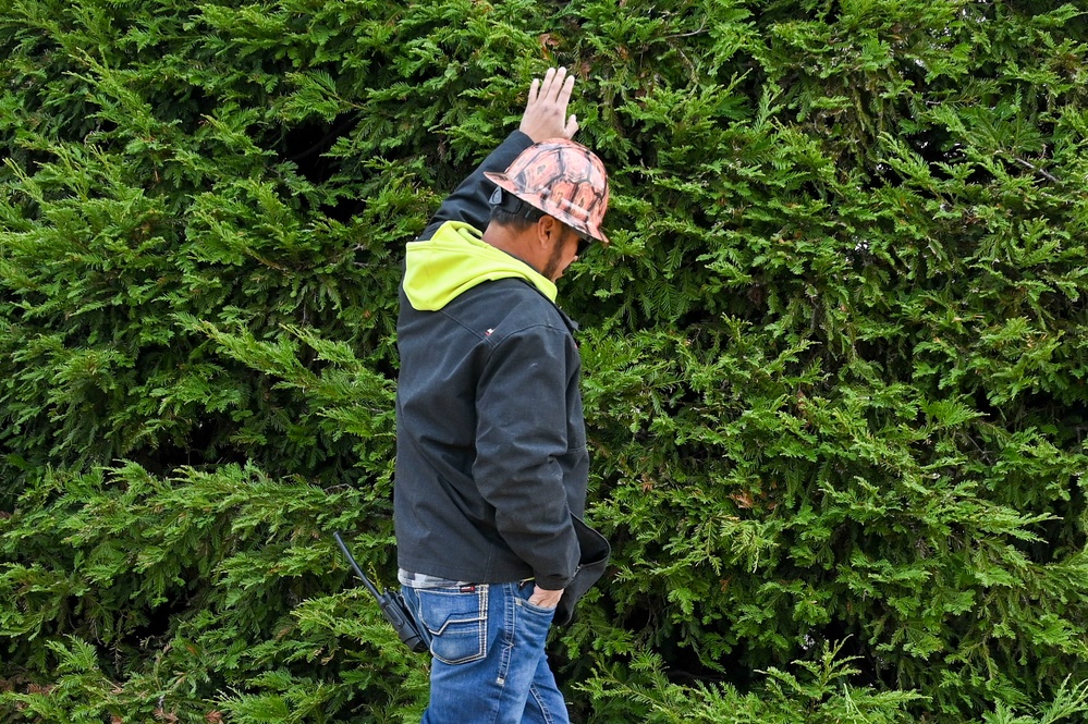 Team Beale continues winter tradition of trimming the holiday tree