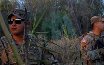 Operation Lone Star Brush Operations