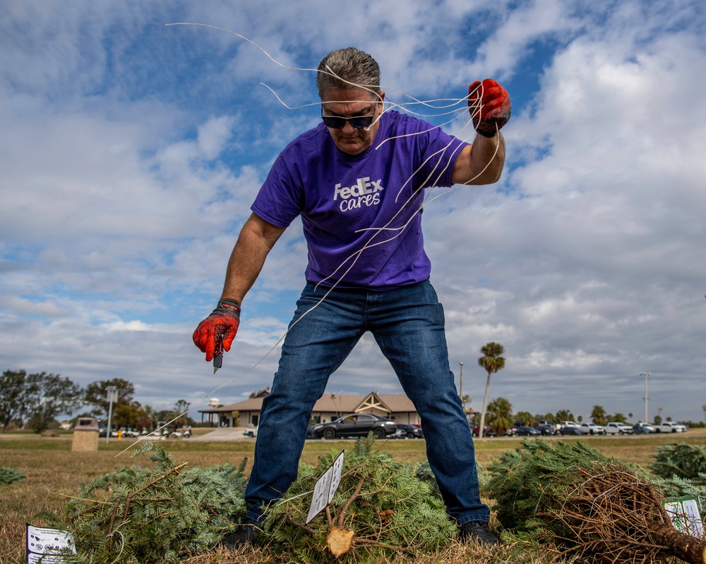 Trees for Troops delivers Christmas spirit to MacDill AFB