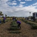 Trees for Troops delivers Christmas spirit to MacDill AFB