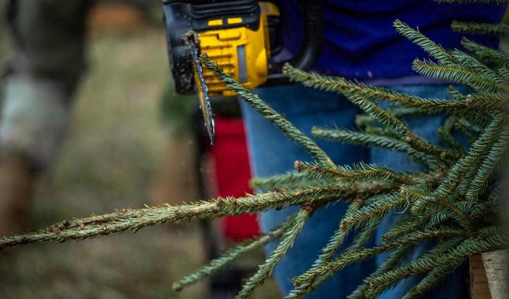 Trees for Troops delivers Christmas spirit to MacDill AFB