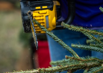 Trees for Troops delivers Christmas spirit to MacDill AFB