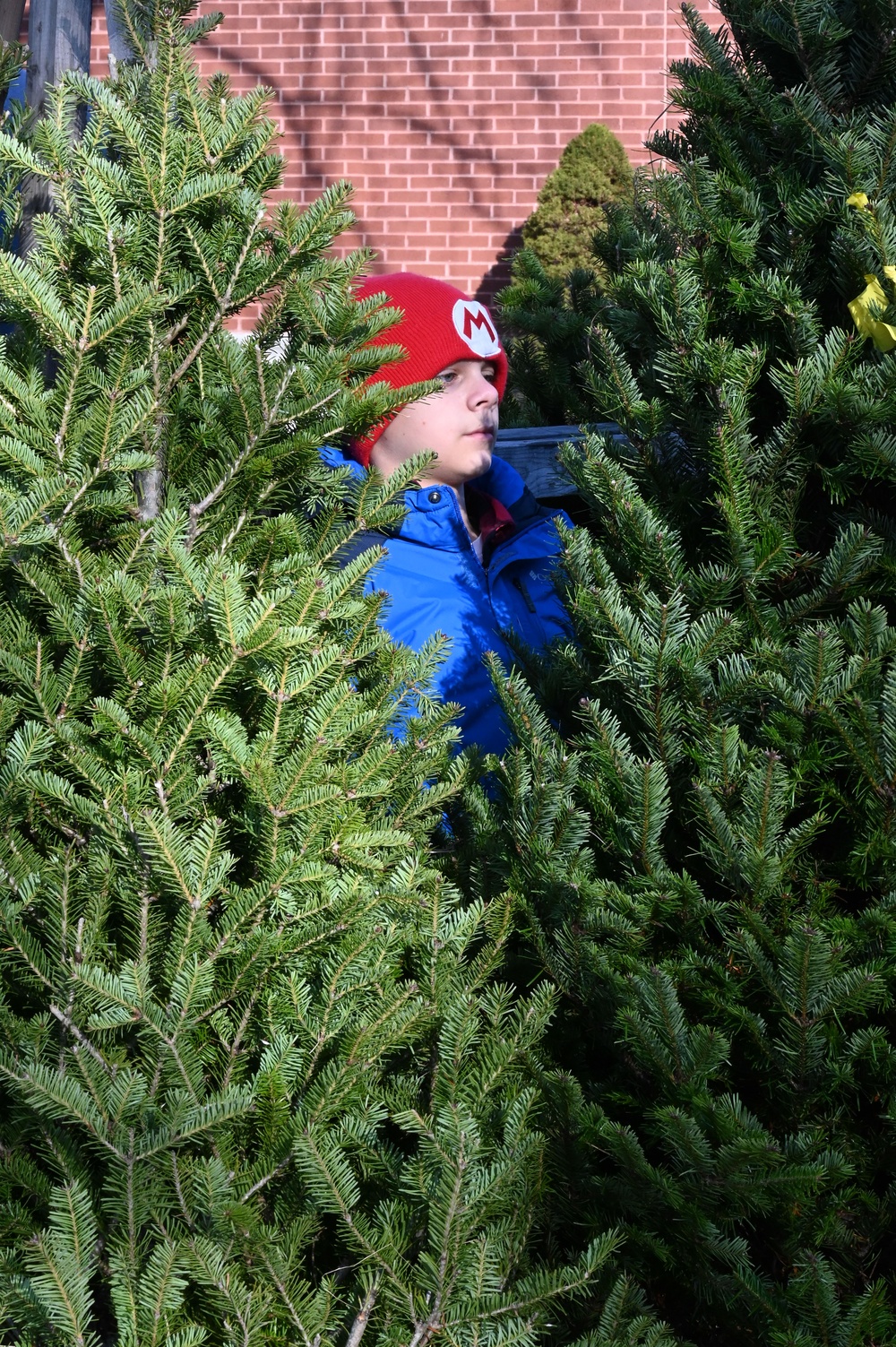 104th Fighter Wing kicks off the holiday season with a festive community event