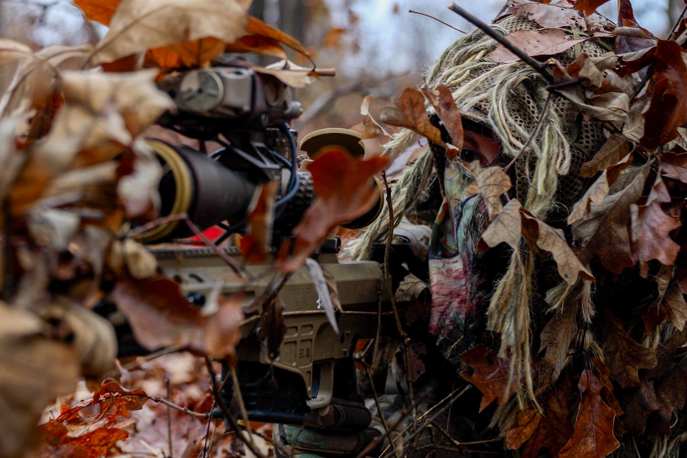 Sniper Stalk