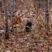 Sniper Stalk