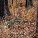 Sniper Stalk