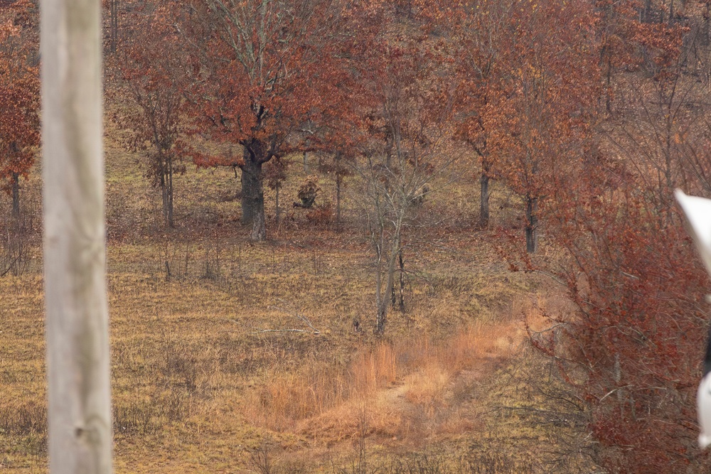 Sniper Stalk