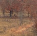 Sniper Stalk
