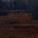 Sniper Stalk