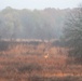Sniper Stalk