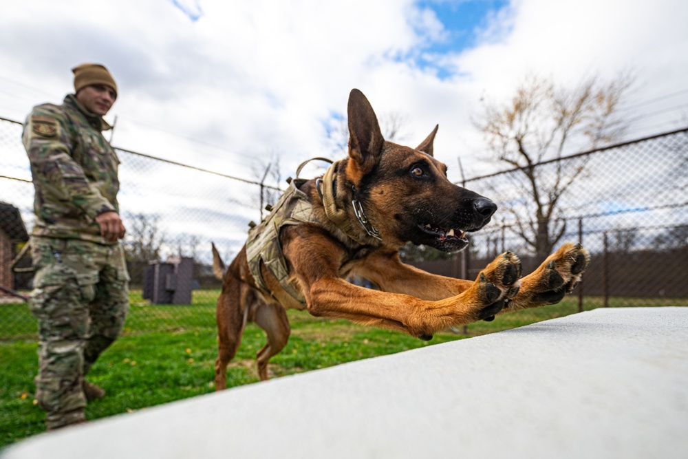 Side by side: 375th SFS MWD handlers