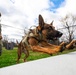 Side by side: 375th SFS MWD handlers