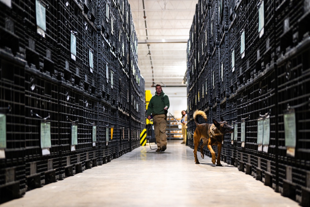 Side by side: 375th SFS MWD handlers