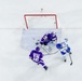 USAFA Hockey vs Niagara 2024