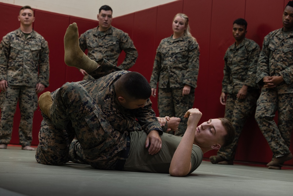 3d Intelligence Battalion Marines Participate in MCMAP Physical Training