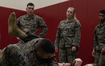 3d Intelligence Battalion Marines Participate in MCMAP Physical Training