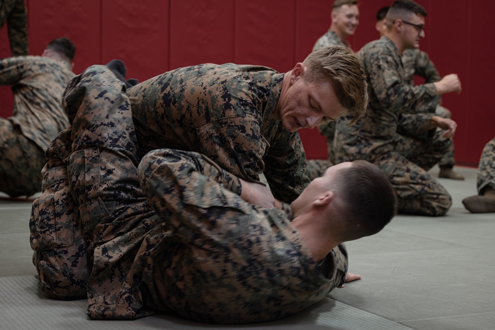 3d Intelligence Battalion Marines Participate in MCMAP Physical Training