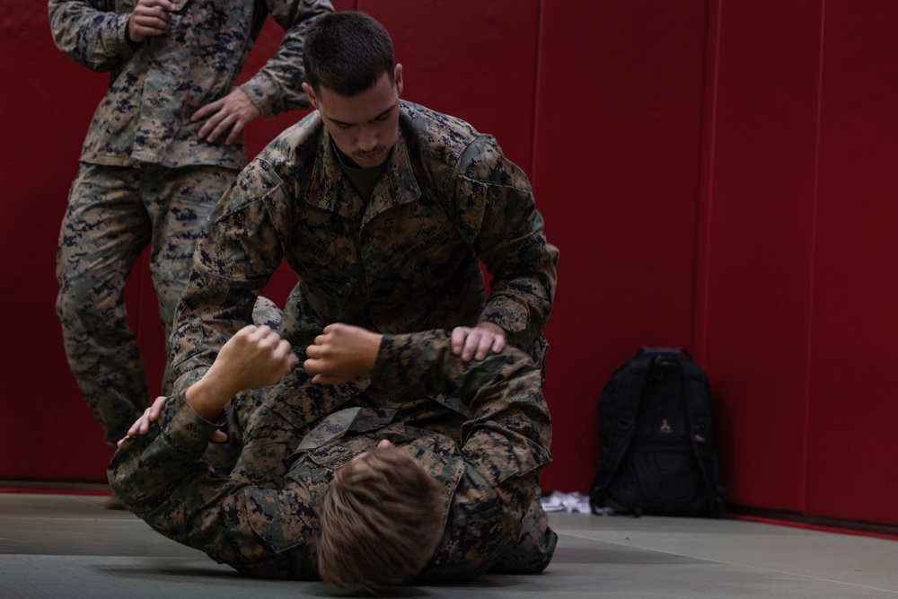 3d Intelligence Battalion Marines Participate in MCMAP Physical Training