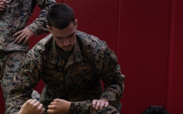 3d Intelligence Battalion Marines Participate in MCMAP Physical Training