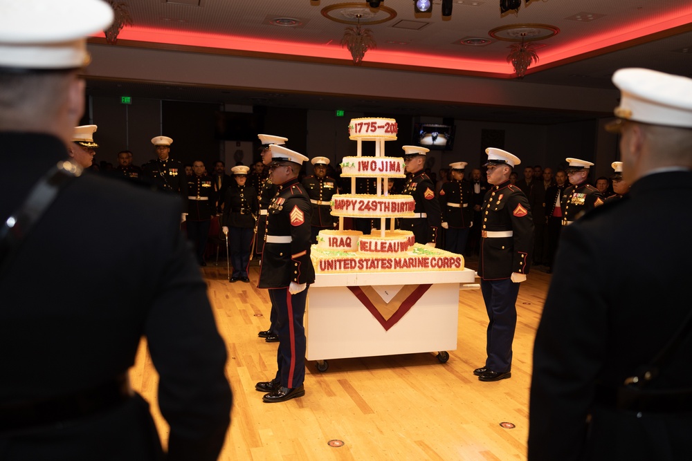 4th Marine Regiment 249th Birthday Ball