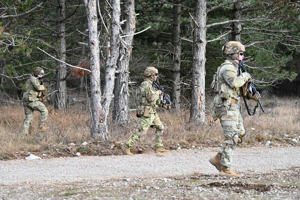 BAYONET IV EXERCISE