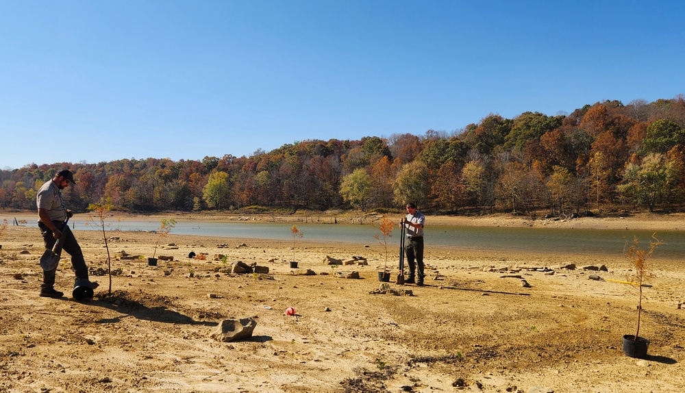 Rough River Lake staff help Mother Nature with tree plantings