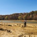 Rough River Lake staff help Mother Nature with tree plantings