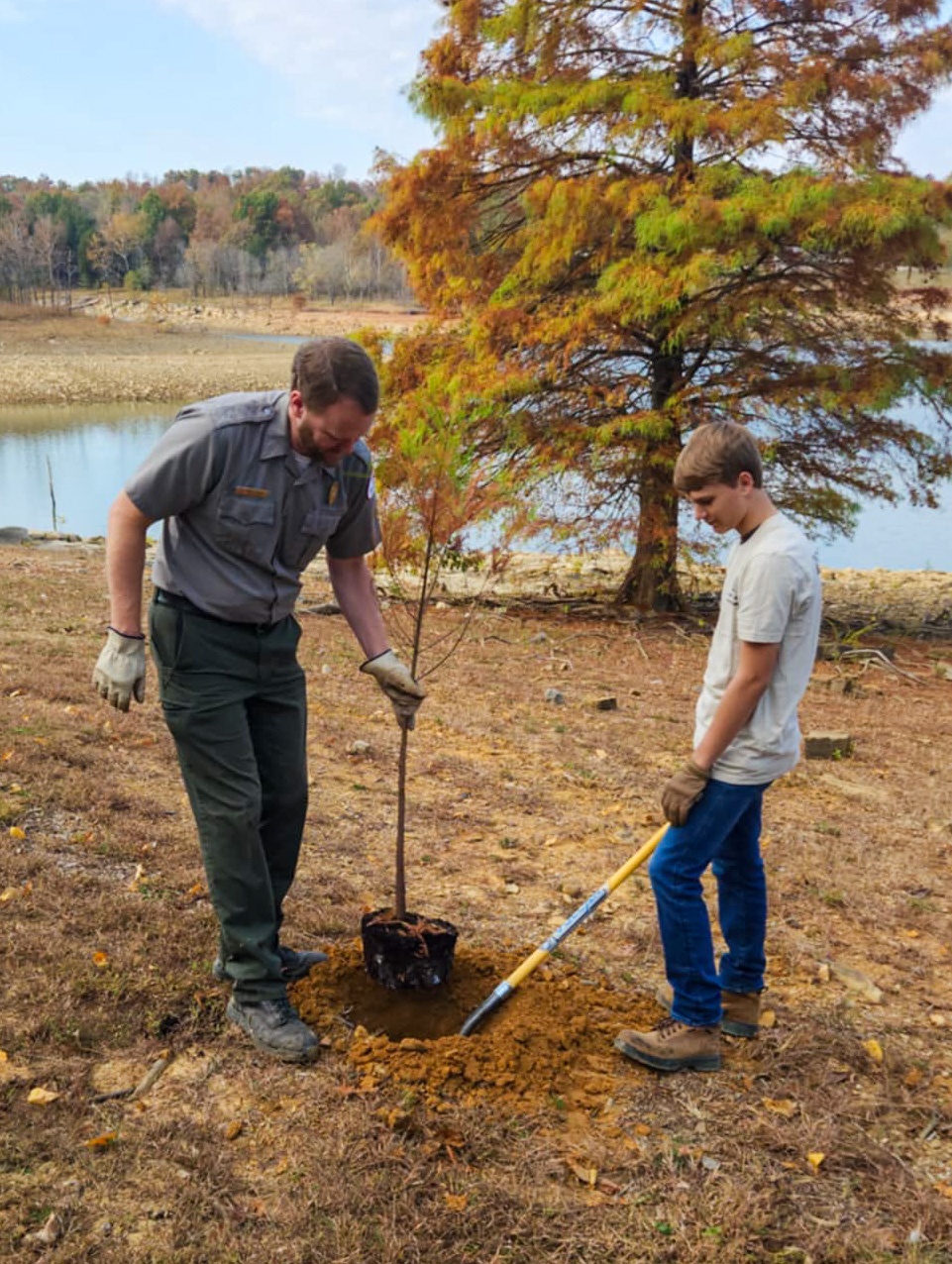 Rough River Lake staff help Mother Nature with tree plantings