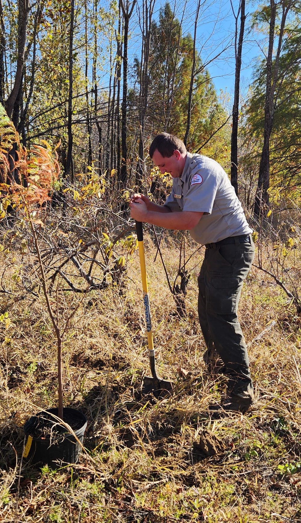 Rough River Lake staff help Mother Nature with tree plantings