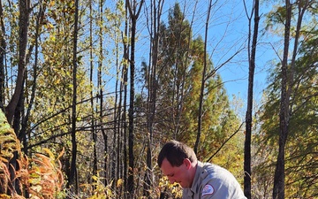 Rough River Lake staff help Mother Nature with tree plantings