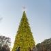 Arnold AFB team members come together for second annual Christmas tree lighting