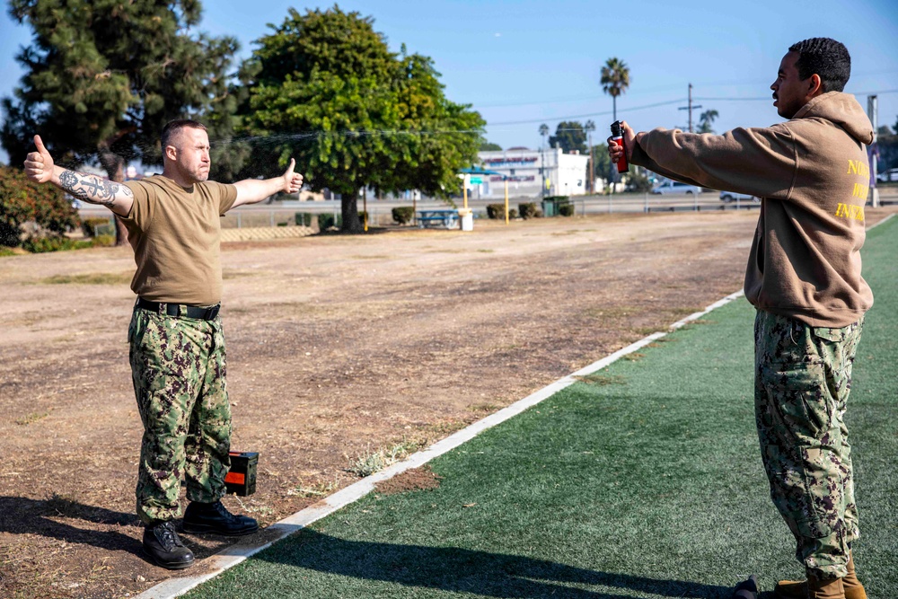 Makin Island Naval Security Forces Training