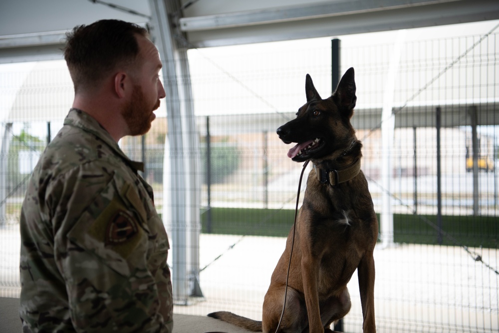 Tyndall Air Force Base welcomes its newest K9 asset