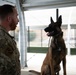 Tyndall Air Force Base welcomes its newest K9 asset