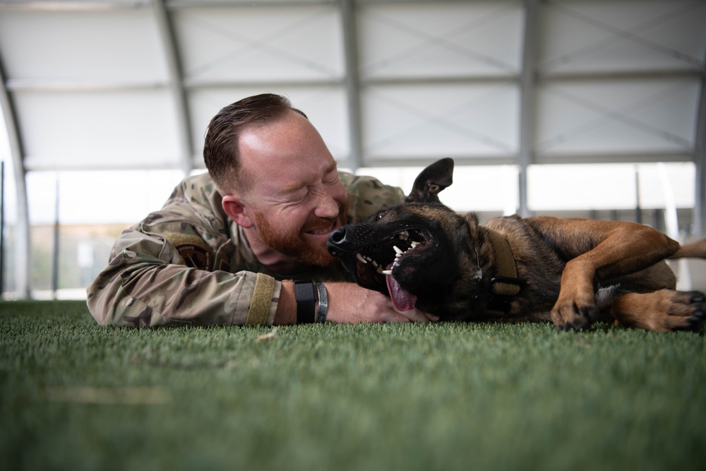 Tyndall Air Force Base welcomes its newest K9 asset