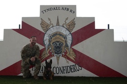 Tyndall Air Force Base welcomes its newest K9 asset