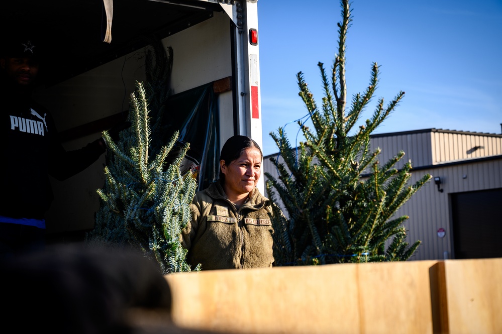 Port Dogs deliver holiday cheer to Pituffik Space Base