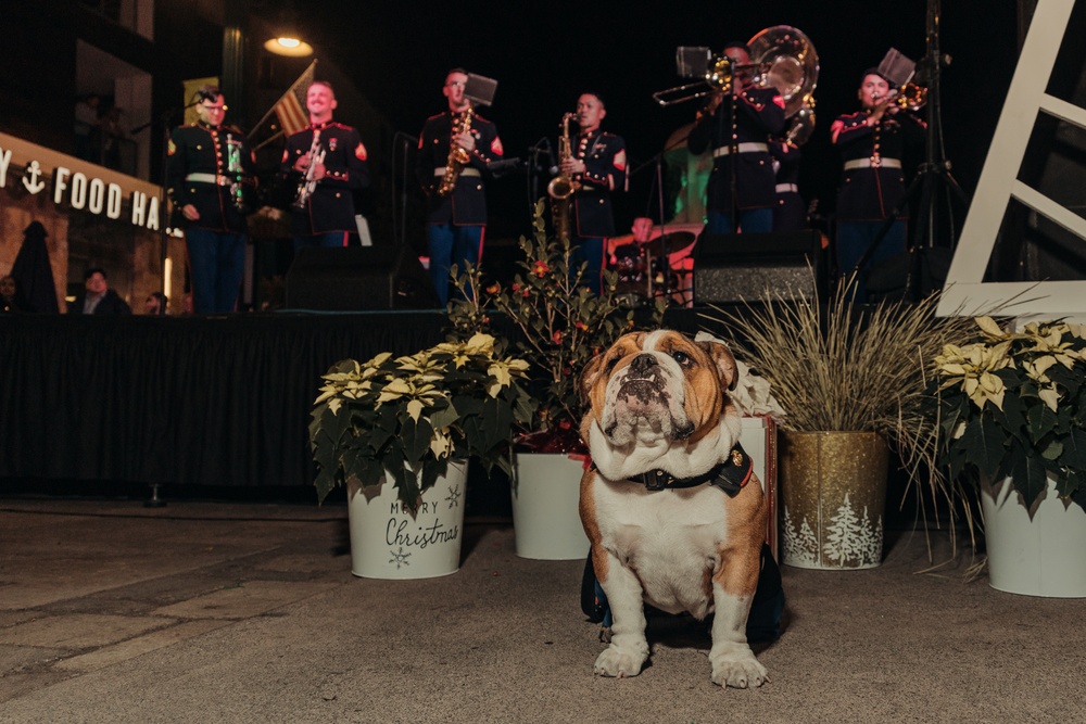 Marine Band San Diego and Bruno Little Italy Tree Lighting event