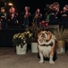 Marine Band San Diego and Bruno Little Italy Tree Lighting event