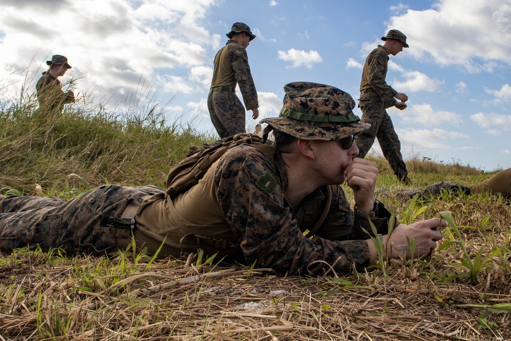 31st MEU conducts Sensory Expeditionary Advanced Base Operations exercise