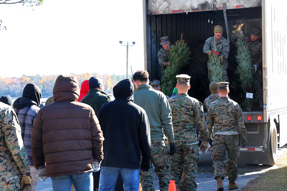 Trees for Troops