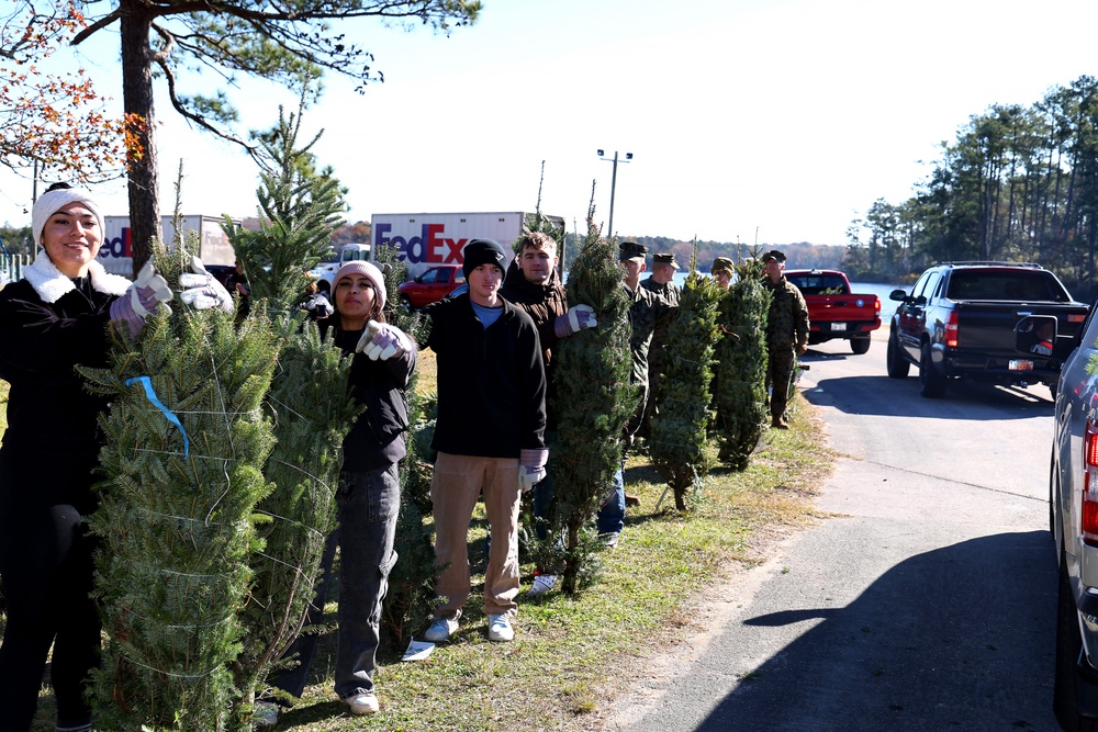 Trees for Troops